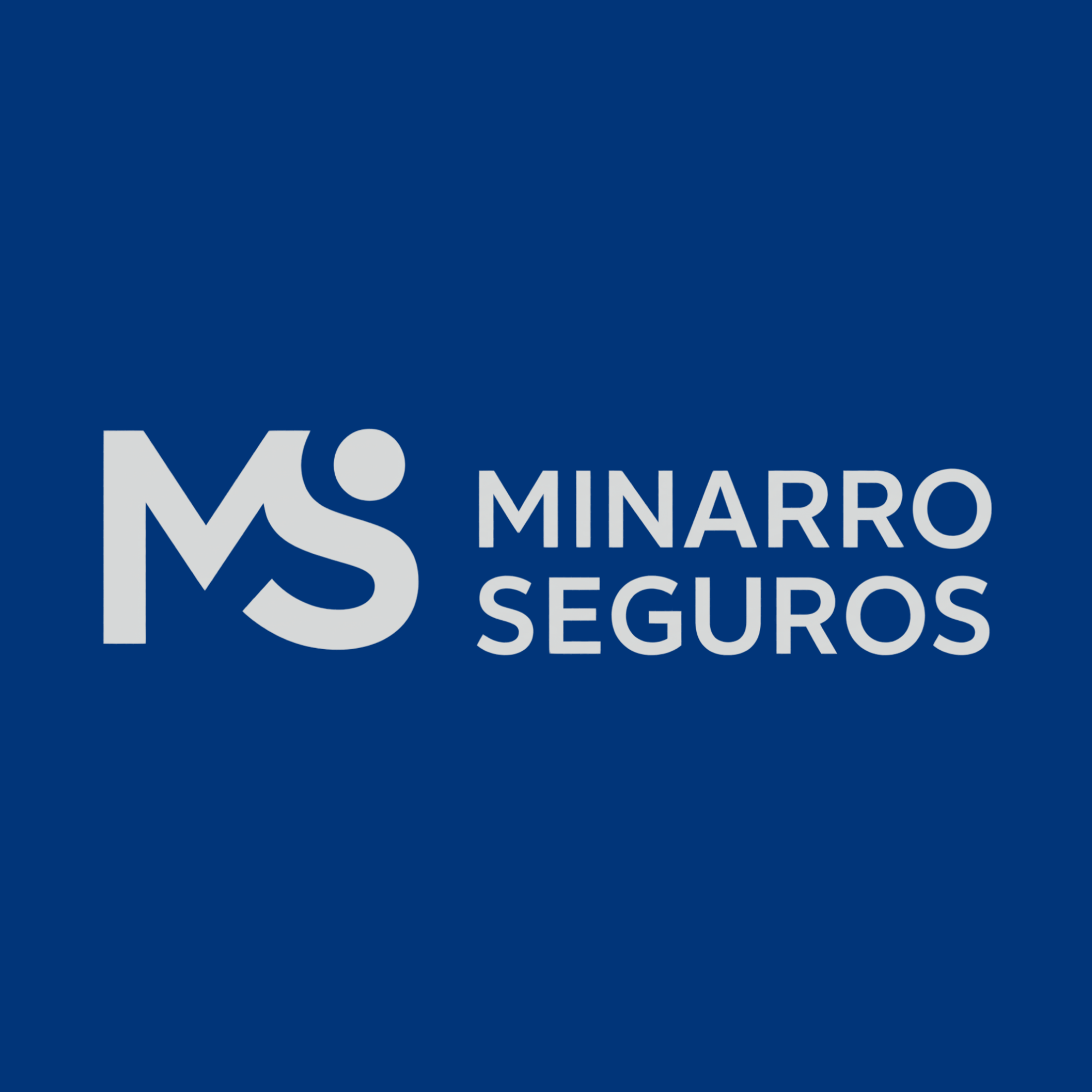 Minarro Seguros